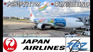 [分享]日航迪士尼夢幻泉鄉彩繪機 伊丹->羽田