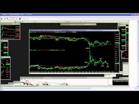 September 9th Tiger Technicians Hour with Basil Chapman on TFNN - 2015