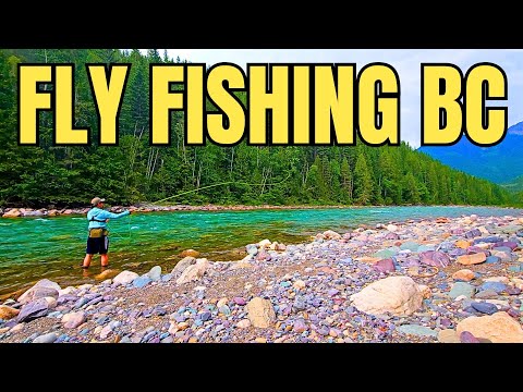 Fly Fishing Beautiful Fernie BC: Bull River Cutthroat Trout (So Many Fish)