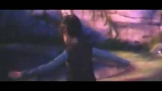 Отрывок из мультфильма "Как приручить дракона". Иккинг и Беззубик