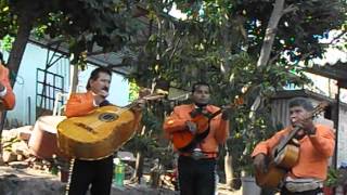 El son de la negra - Mariachi Azteca 98 de Don Marcelo Vara
