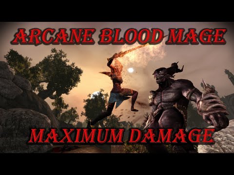 The Arcane Blood Mage(Damager AW) - Dragon Age Origins