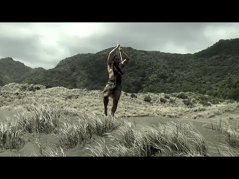 What is Māori movement?