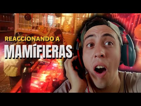 REACCIÓN a Aly Mayely - MAMÍFIERAS ft. Almeyda, Gloria Allel, Seamoon, Consuelo Stephanie