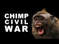 The First Documented Chimp War