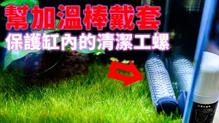 加溫棒會把螺煮熟? 保護清潔工!幫加溫棒加保護套 保護魚缸內的螺類 | 水族 DIY