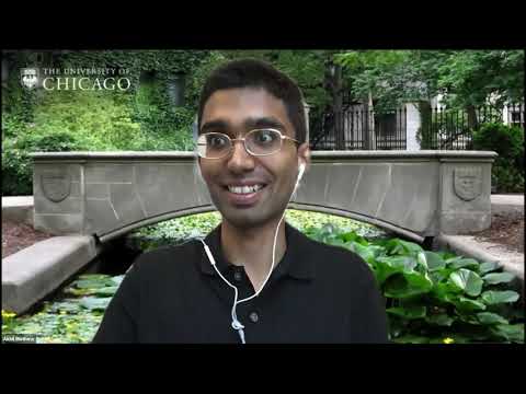 The algebra and the arithmetic of quadratic forms II - Akhil Mathew