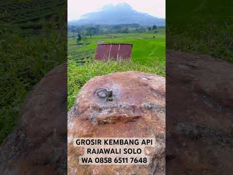 BIMA SAKTI / CIRCO BLITZ - SUN - 1 BOX ISI 10