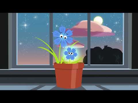 christina perri - when you wish upon a star [visualizer]