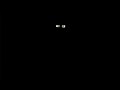 MAD Eyes In The Dark
