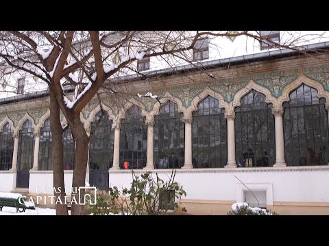La pas prin Capitală - Școala Centrală