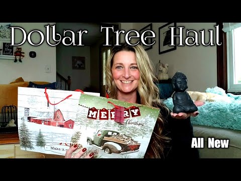 Dollar Tree Haul  All New ItemsYour Thoughts? Oct 28 Video