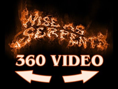 Wise as Serpents - Are we all Insane - 360 Lyric video