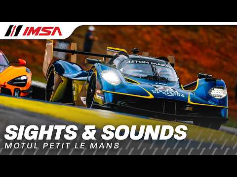 IMSA Sights & Sounds | 2026 Michelin Raceway Road Atlanta, Motul Petit Le Mans