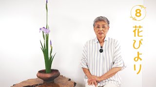 花びより8#端午の節句を祝う花