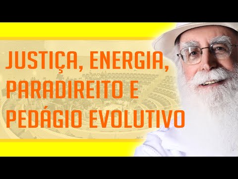 Waldo Vieira - Justiça, Energia, Paradireito e Pedágio na Evolução | #Conscienciologia