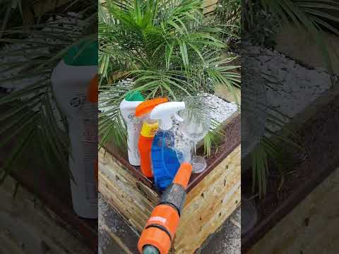 Cleaning wine glasses - the neverending battle! #winepassion #winelovers #wineenthusiast #wine