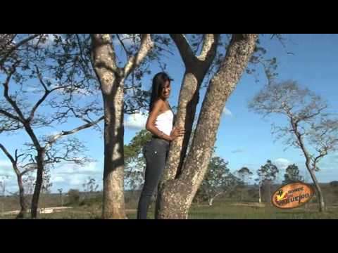 BONDE DO VAQUEIRO - TIRO NO PÉ "é vaquejada de luxo"