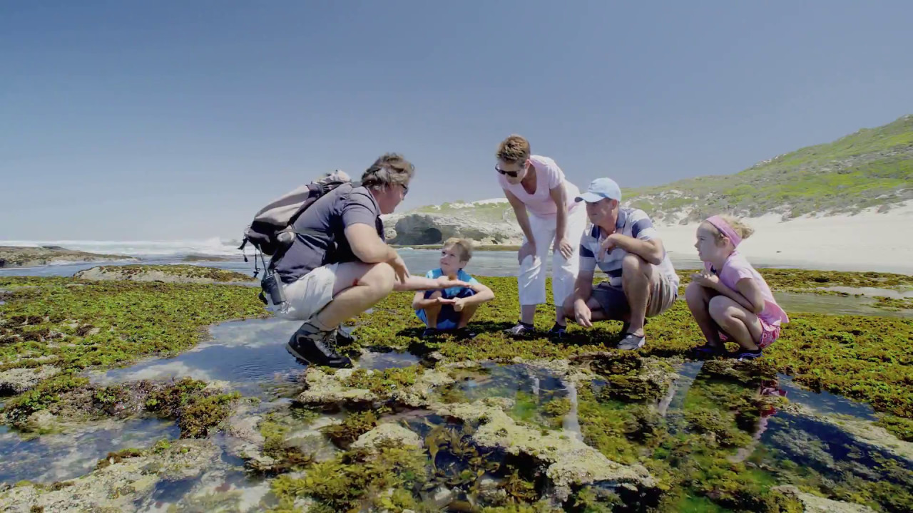 De Hoop Collection - Nature & Marine Reserve