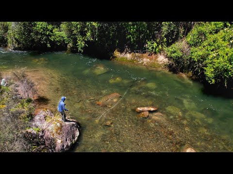 Fly Fishing one of the BEST Trout Streams In the World ! 