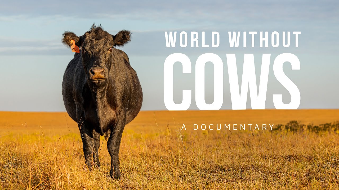 World Without Cows — Official Trailer