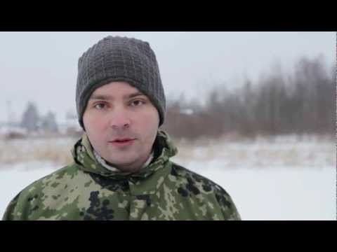 Видео