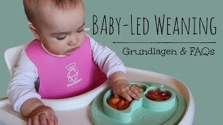 Baby-Led Weaning (BLW): Der breifreie Beikostweg | Grundlagen & FAQs