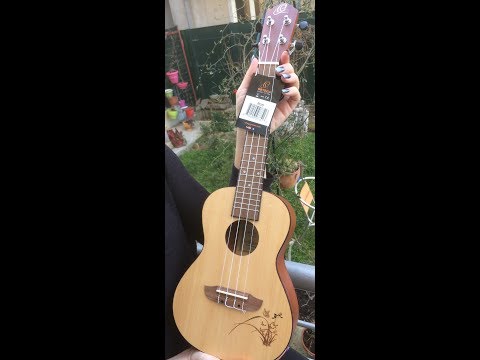 UKULELE ORTEGA RU5 Unboxing and First Look