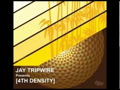 Jay Tripwire - Next Level [Seasons US, 2009]