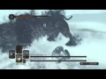 Dark Souls 2 - Lud & Zallen - The King's Pets