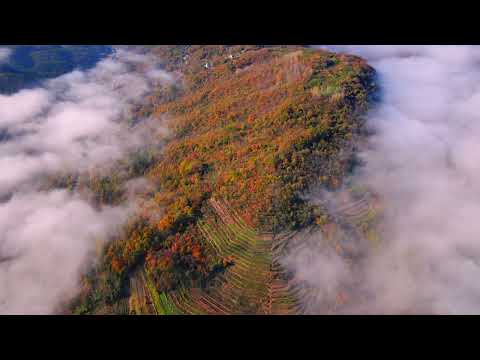 The sumptuous colors of late autumn in Yuan’an