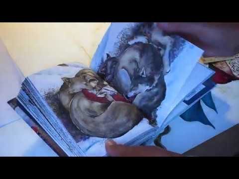 Discover "The Unwinding" by Jackie Morris