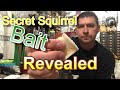 Amazing Squirrel Bait You Have NEVER seen this.
