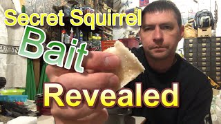 Amazing Squirrel Bait You Have NEVER seen this.