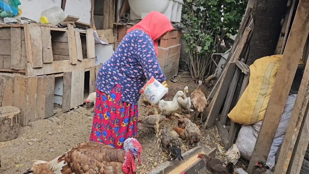 ‼️GÖZÜMÜN İÇİNE BAKIP BESLEDİKLERİM BANA DÜŞMAN OLUYOLAR İKİ KÖPEĞE GEREK YOK‼️