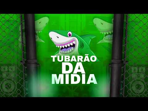 O PANDA FEAT O PATÃO - ATIVEI O MODO SELVAGEM EP NOVA MAIO 2022 feat MC MAGRELLA e MC MIKA