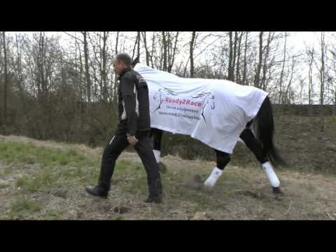 Ready2Race Horse Equipment