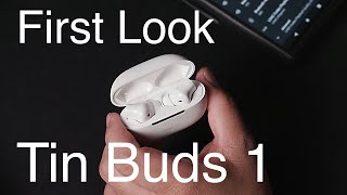 First Look 3: Tin Hifi Tin Buds 1: Budget Bass Canon, can it fight Scarlet Mini?