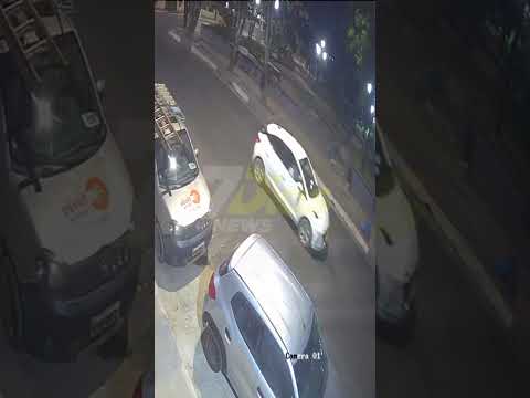 Tamanduá-bandeira é flagrado caminhando no centro de Caetanópolis
