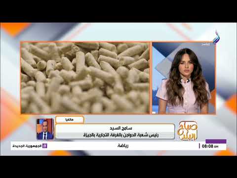 عاجل| من 102 لـ78 جنيهًا.. أسباب انخفاض أسعار الدواجن في الأسواق 