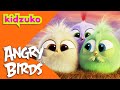 The Story Of The Hatchlings And The Lost Baby Eggs 🪺 Angry Birds Compilation Kidzuko