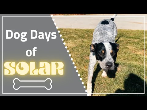 Ian Agnew Testimonial - Better Tomorrow Solar