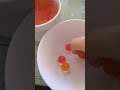 ORBEEZ Music
