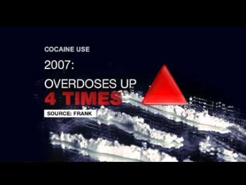 Pablo the drug mule dog