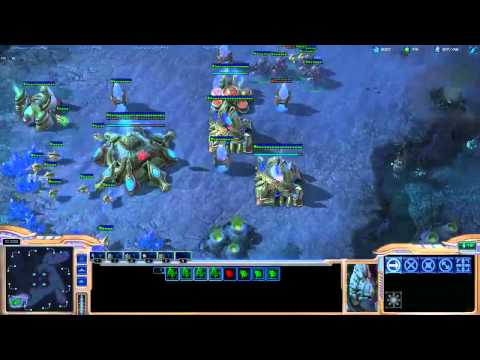 Minigun [FPVOD w/C] vs NamhciR [PvT Nerazim Crypt 1v1]