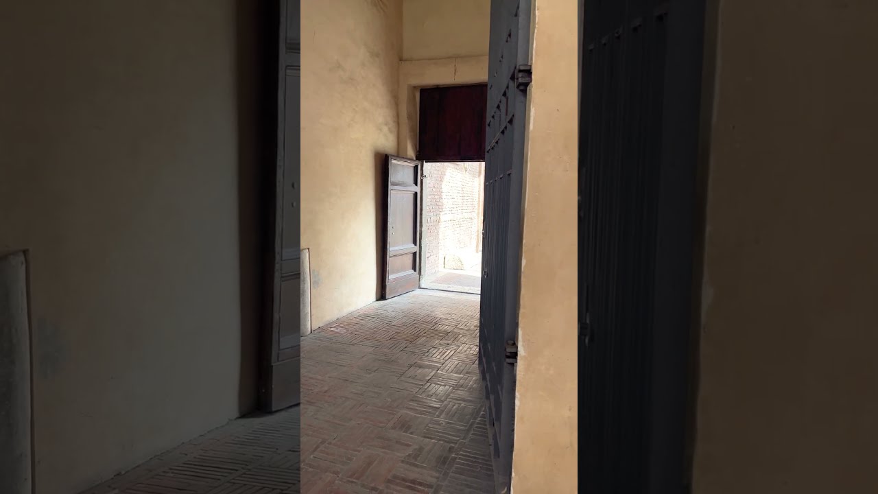 YouTube Short thumbnail