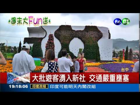 新社花海節登場 人車塞爆了