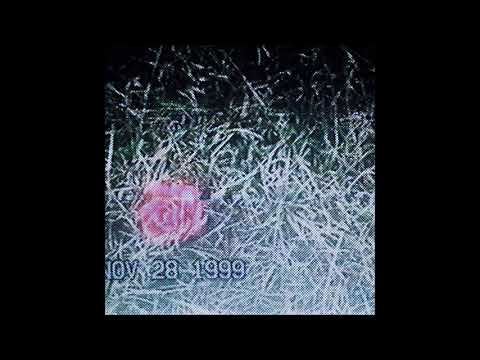 05. nobody - a breath of fresh air