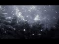 Vowl Taiyla Slowed