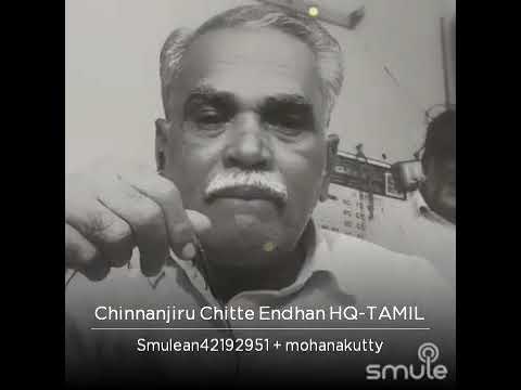 Chinnanjiru Chitte